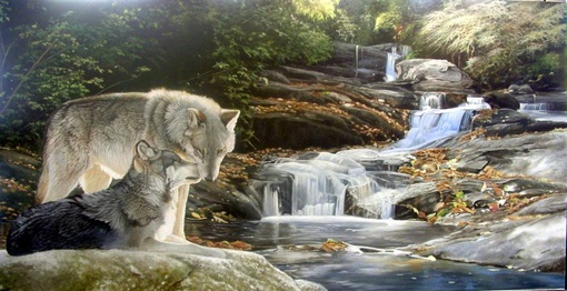 Picture